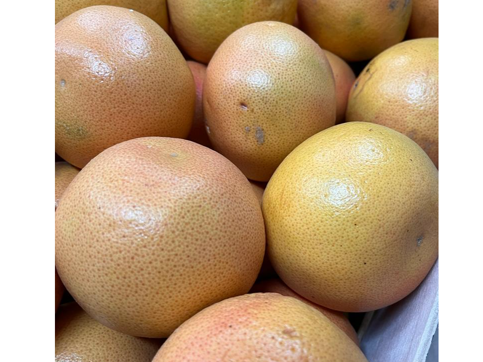 POMELO