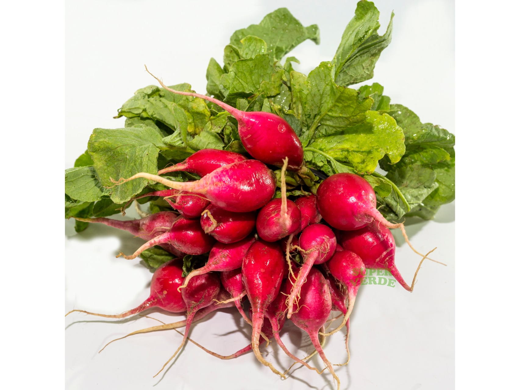 RABANITO