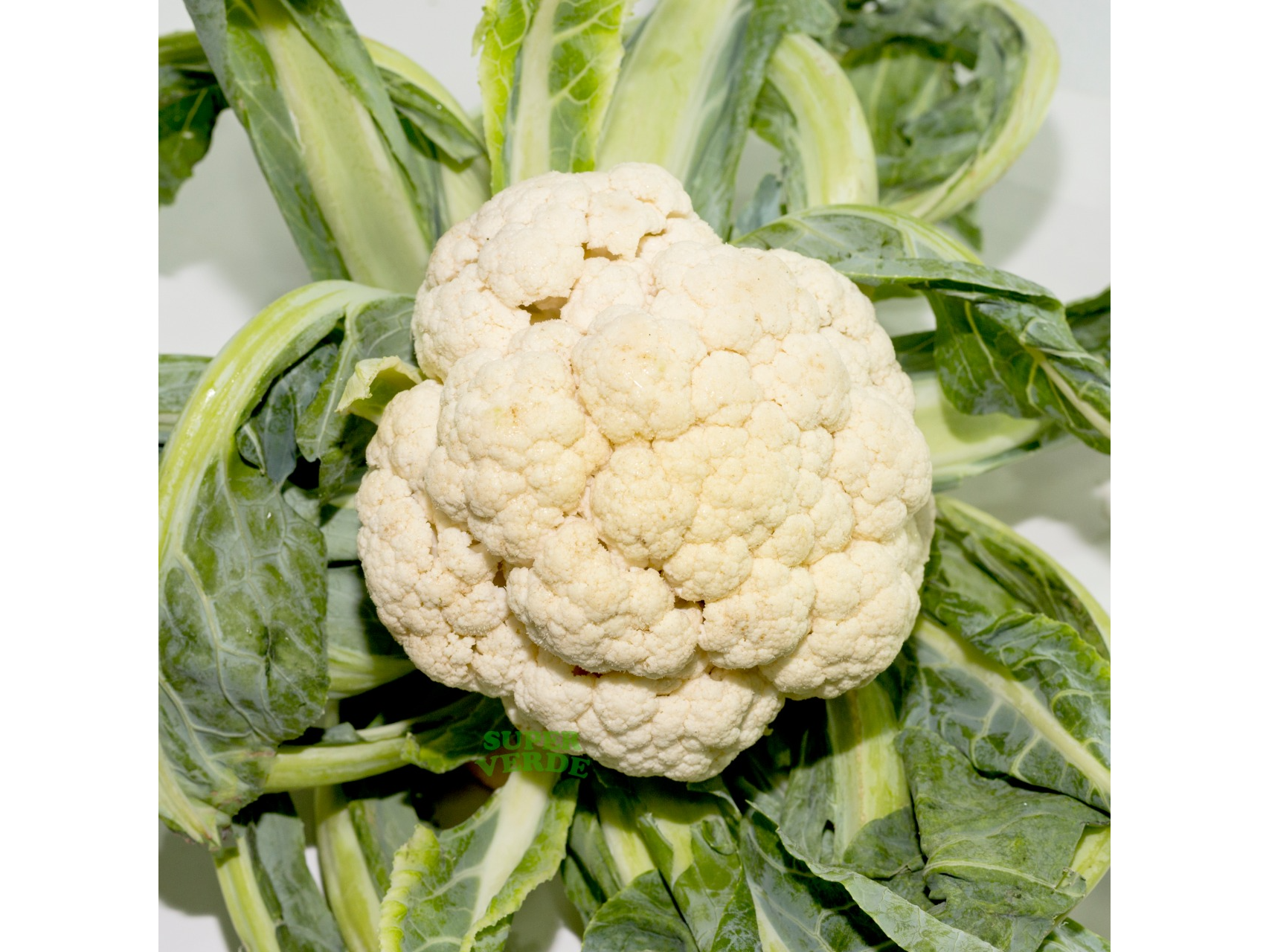 COLIFLOR