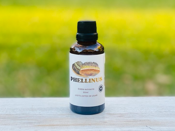 Phellinus 50 ml