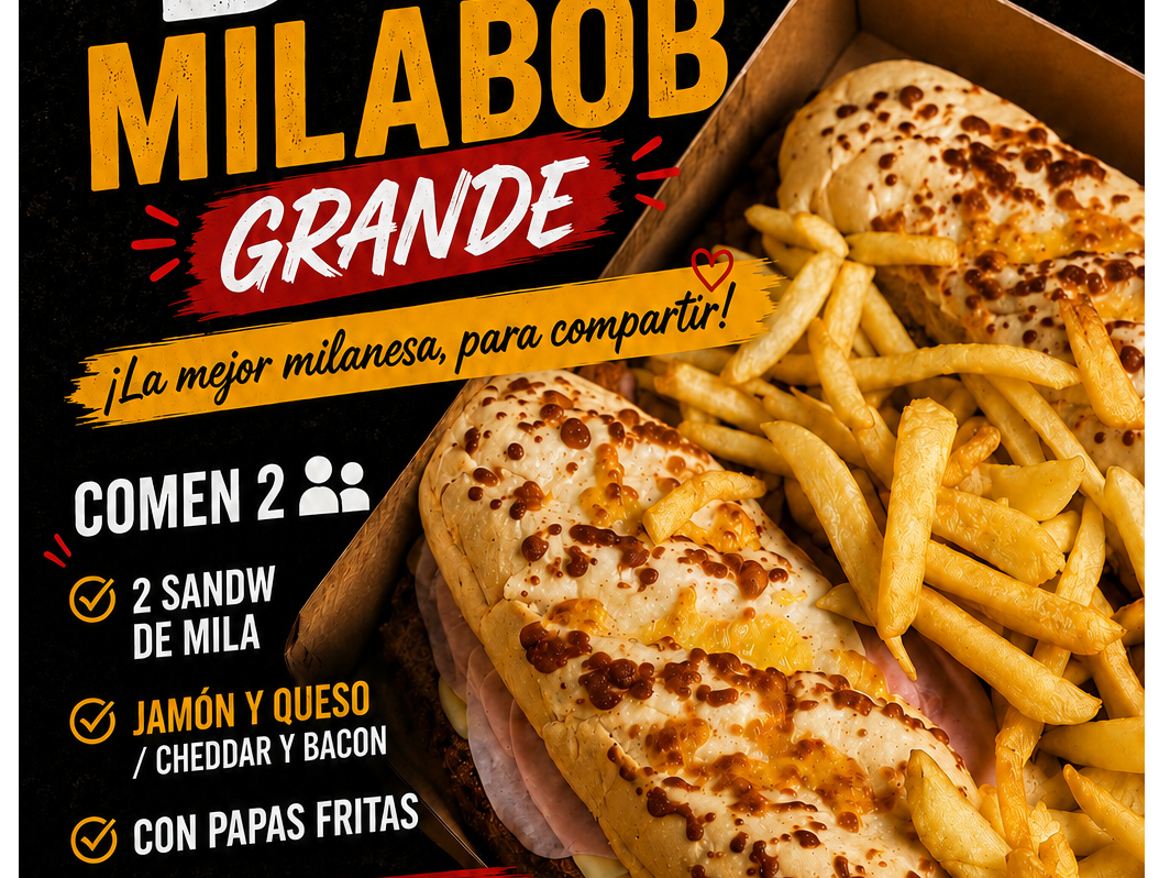 Box MiLa Grande (comen2)