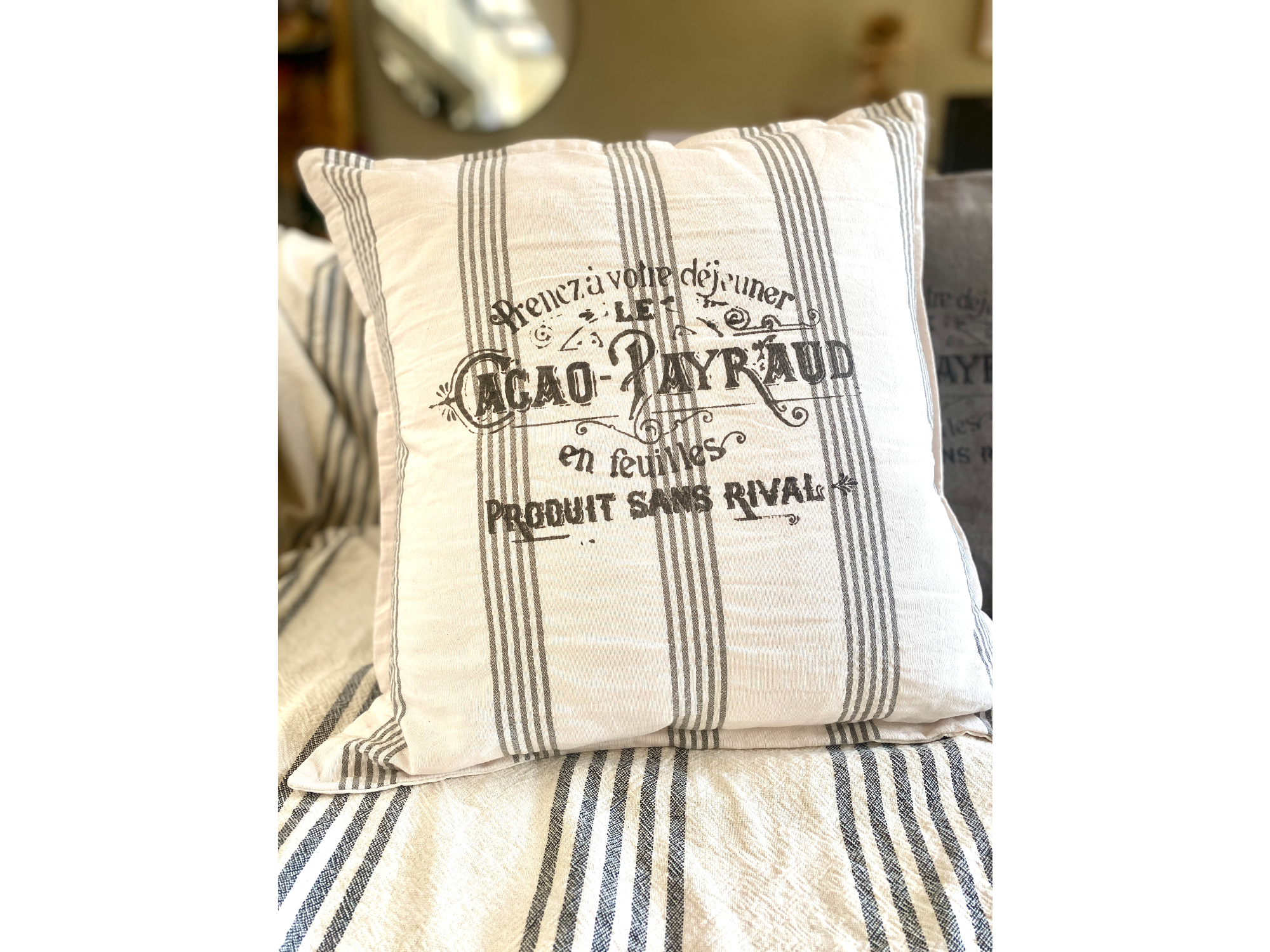 Funda almohadon tusor Petra rayado con estampa 50x50