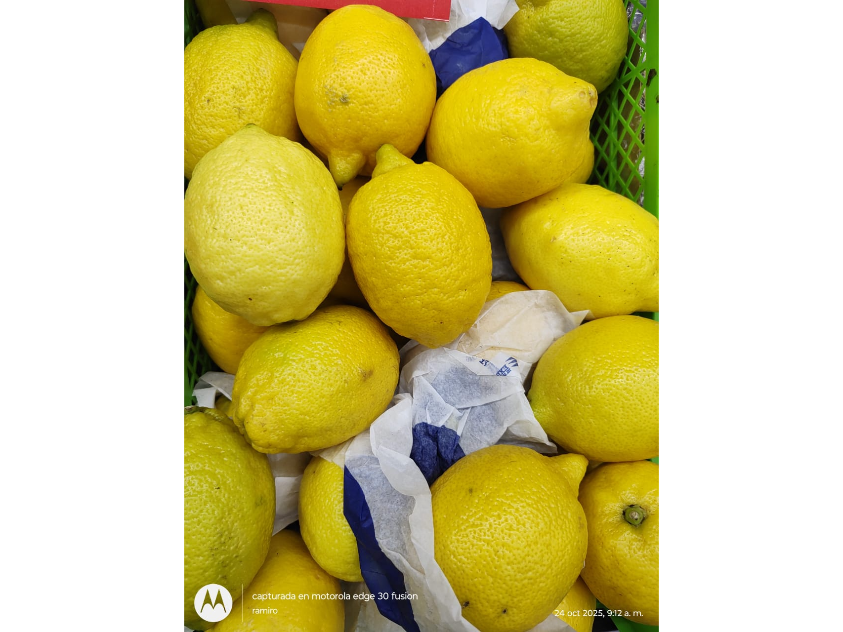 Limon