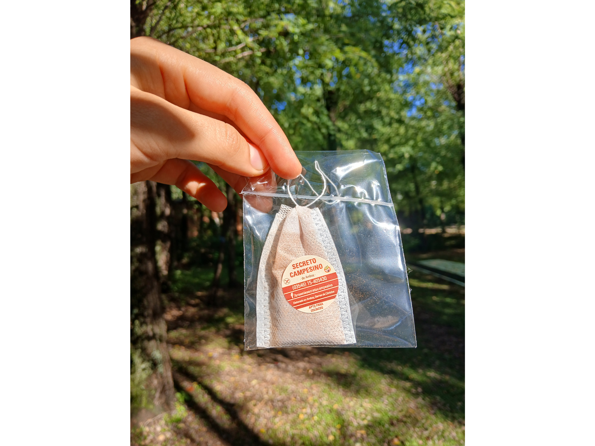 Té de Algarroba en saquitos
