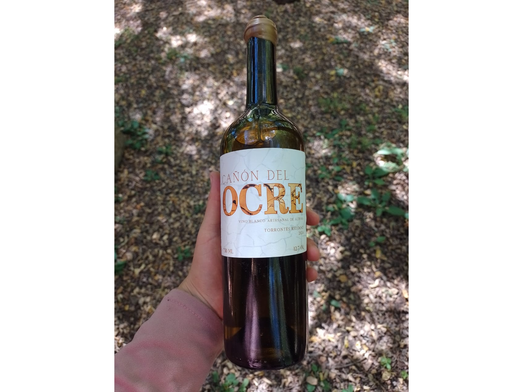 Vino Agroecológico Torrentes Riojano