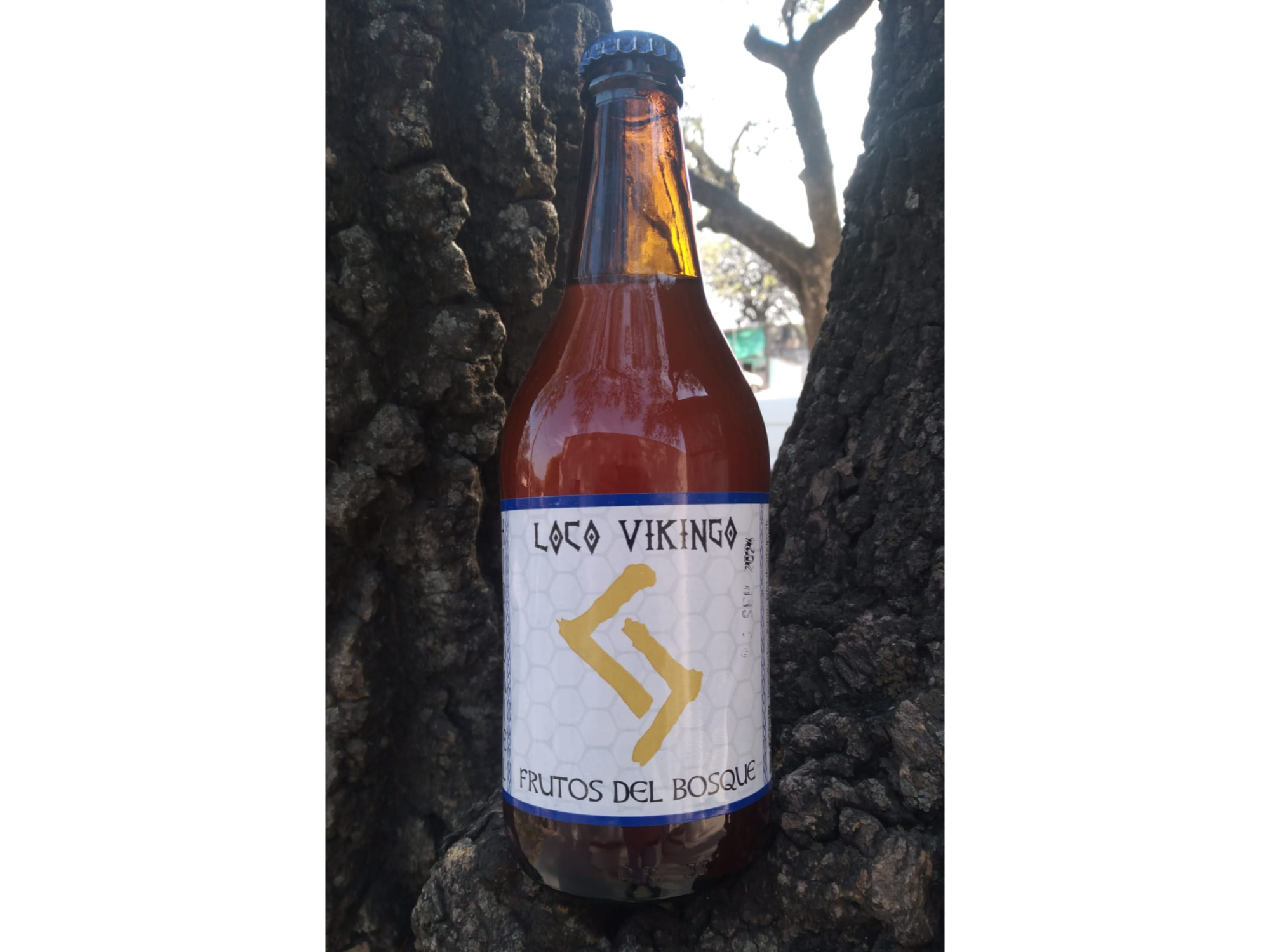 Hidromiel Frutos del Bosque