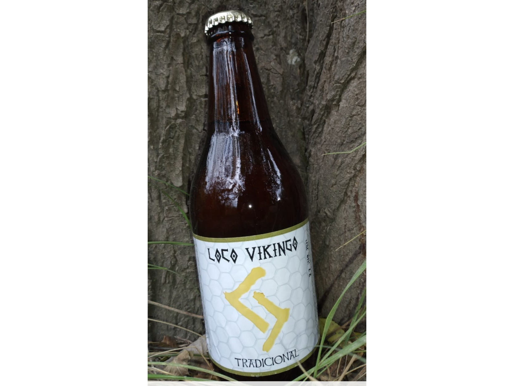 Hidromiel Tradicional