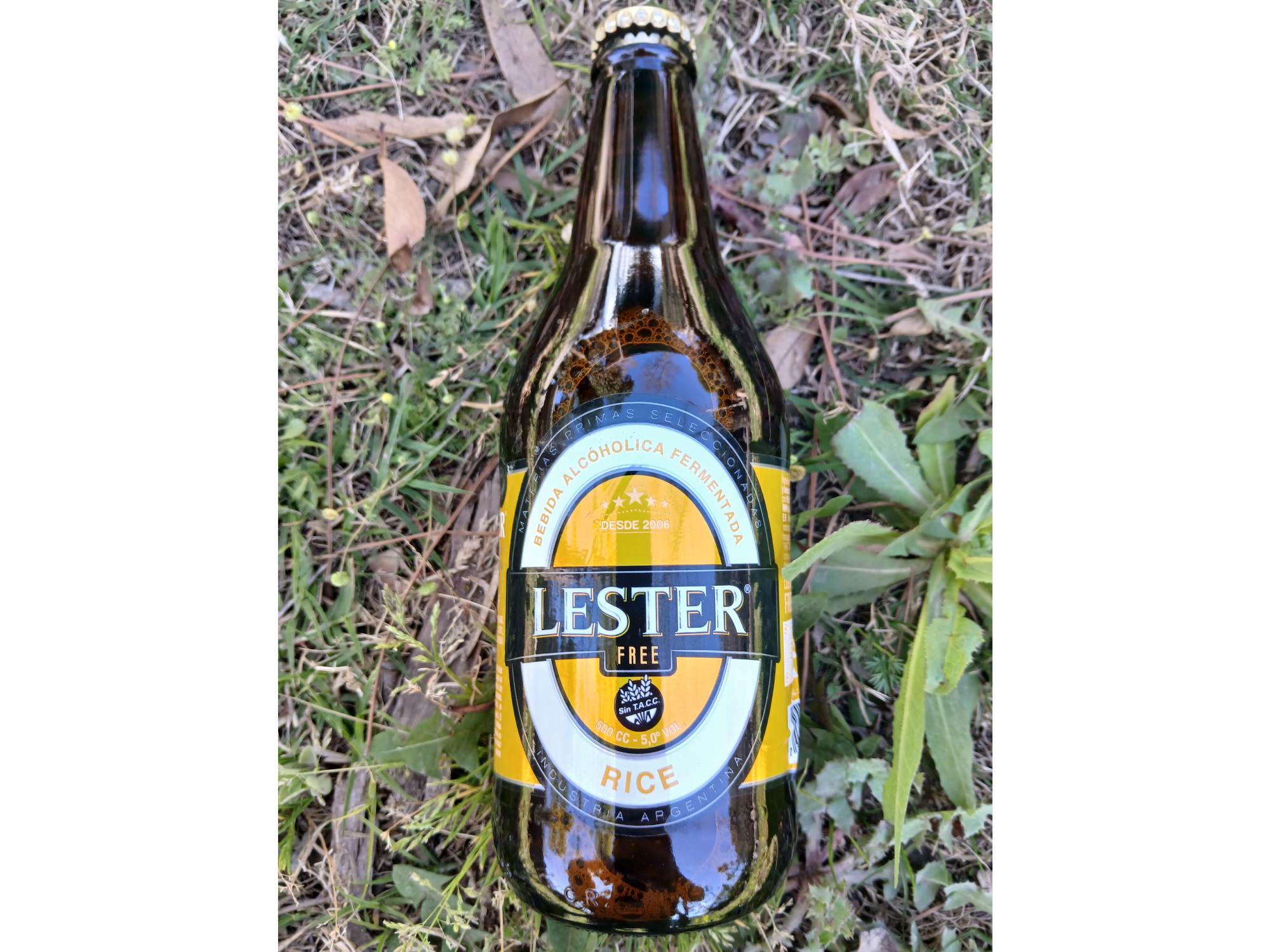 Cerveza Sin T.A.C.C.