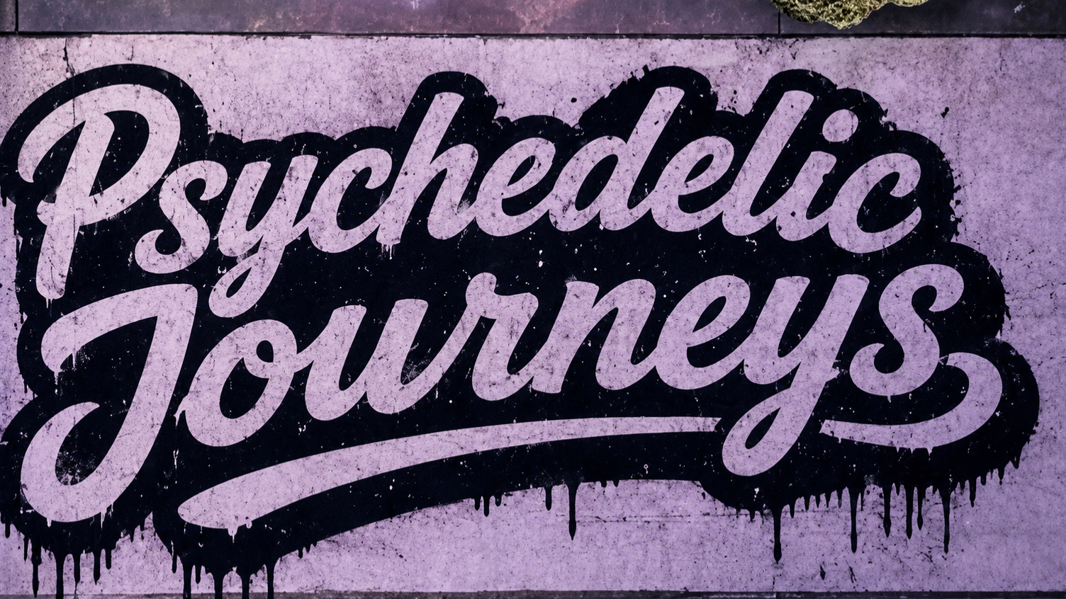 Lab & Psychedelic Journey