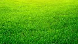 ARTICULOS FUTBOLEROS