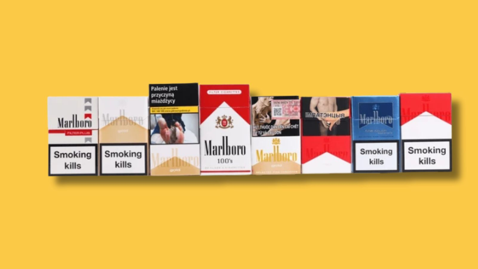 CIGARRILLOS Y ENCENDEDORES