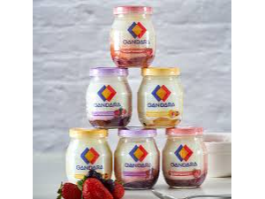 gandara yogur en frasco  200grs