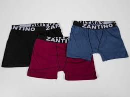 boxer zantino xdocena . pagas 1.7000cada uno