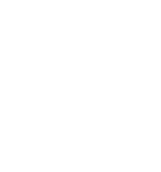 Logo CHEGUSAN