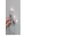 Chupetin Dulce de leche