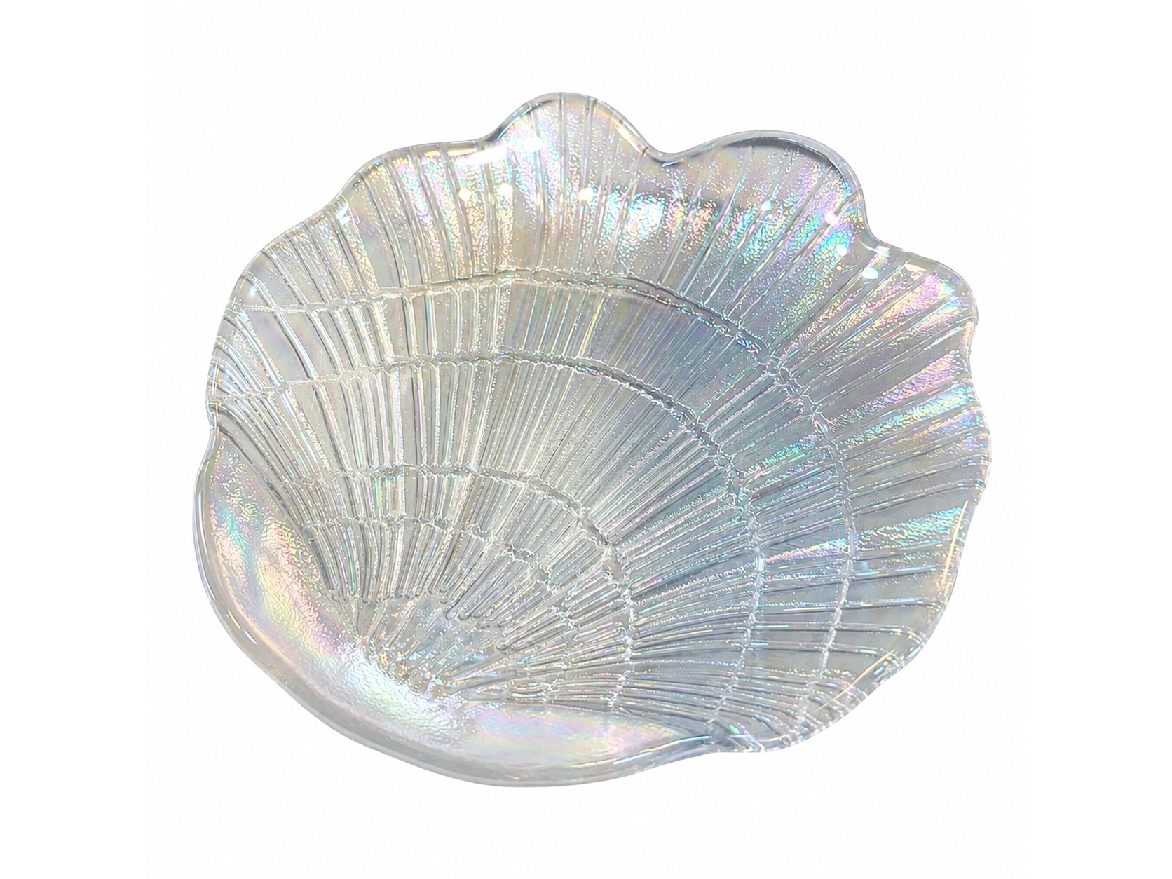 Platito Ostra para máscaras