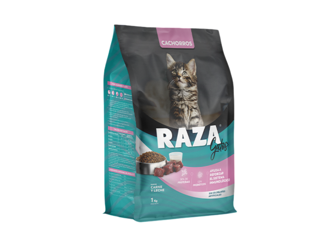 RAZA Gatito