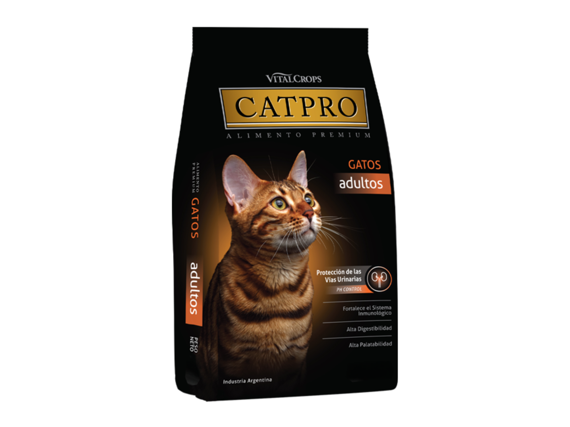 CATPRO  Vias Urinarias