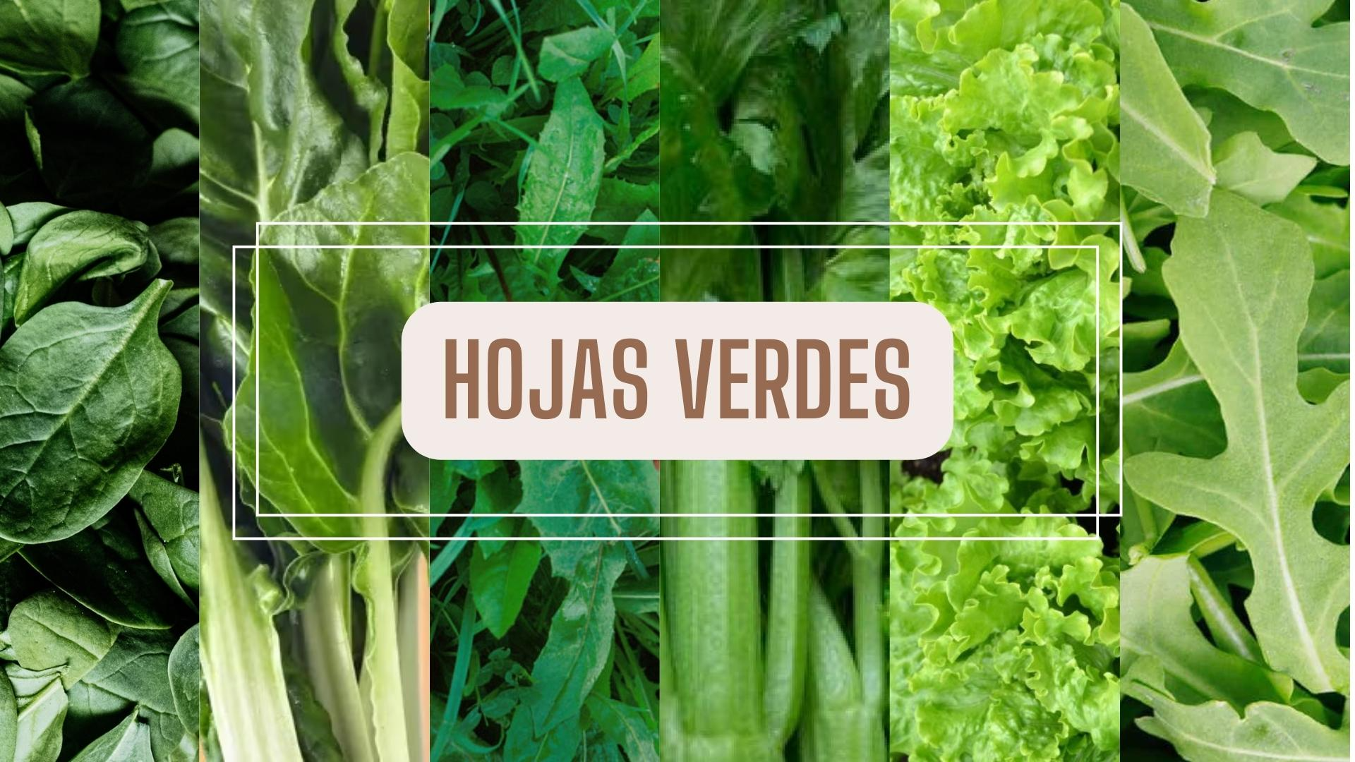 HOJAS VERDES