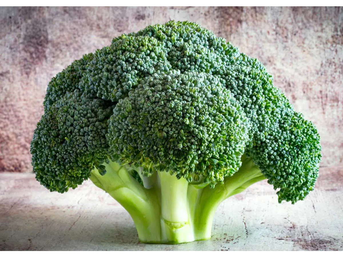 BROCOLI PREMIUM X 1 UNID.