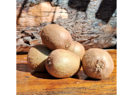 KIWI CHILENO
