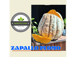 ZAPALLO PLOMO X KG