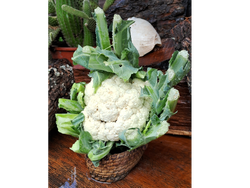 COLIFLOR