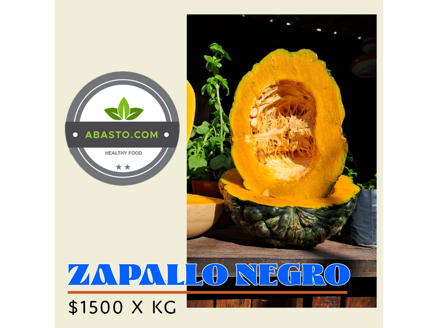ZAPALLO NEGRO X KG