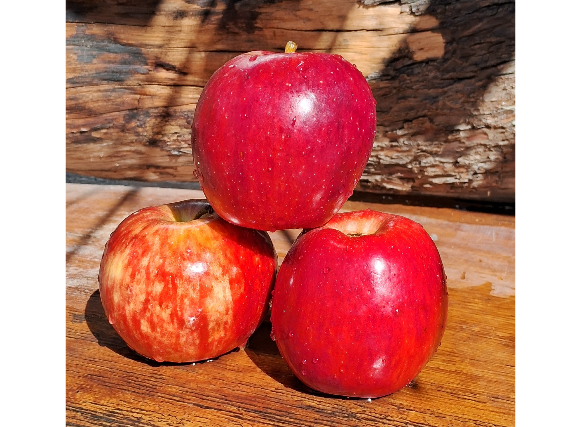 MANZANA DELICIOSA 1° PREMIUM