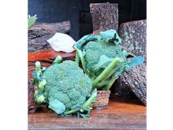 BROCOLI PREMIUM X 1 UNID.