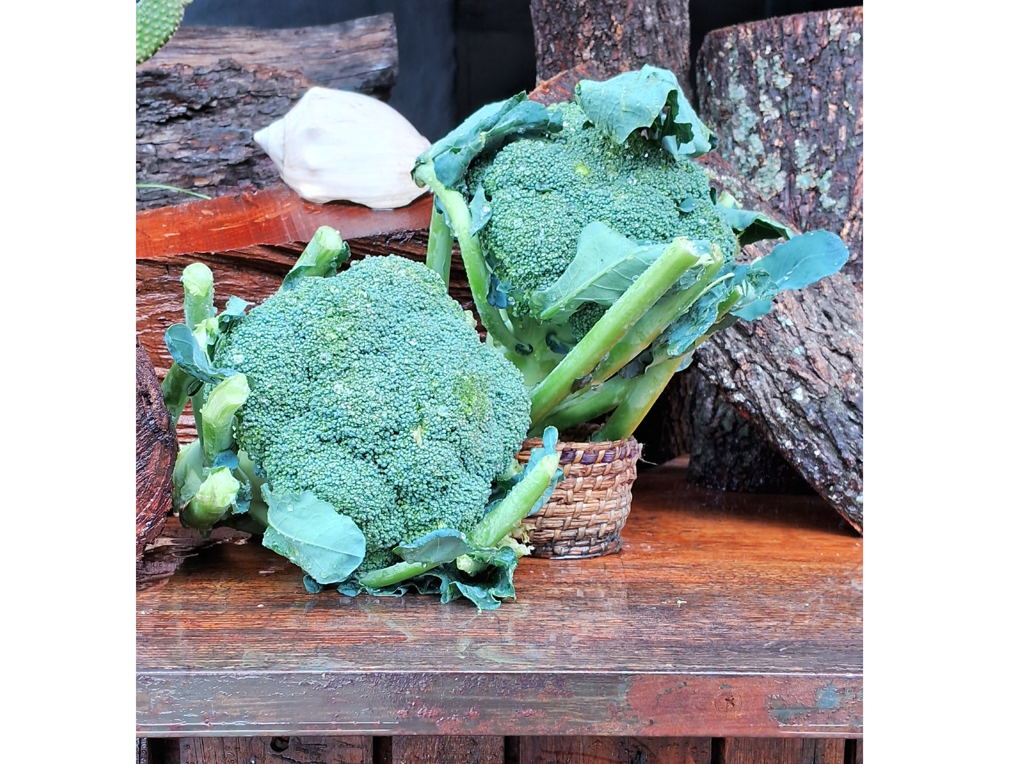 BROCOLI  PRODUCTO DESTACADO
