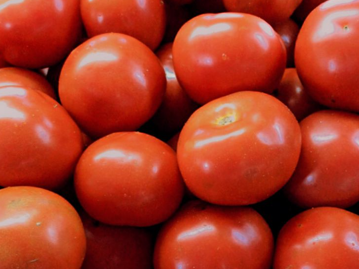 TOMATE REDONDO