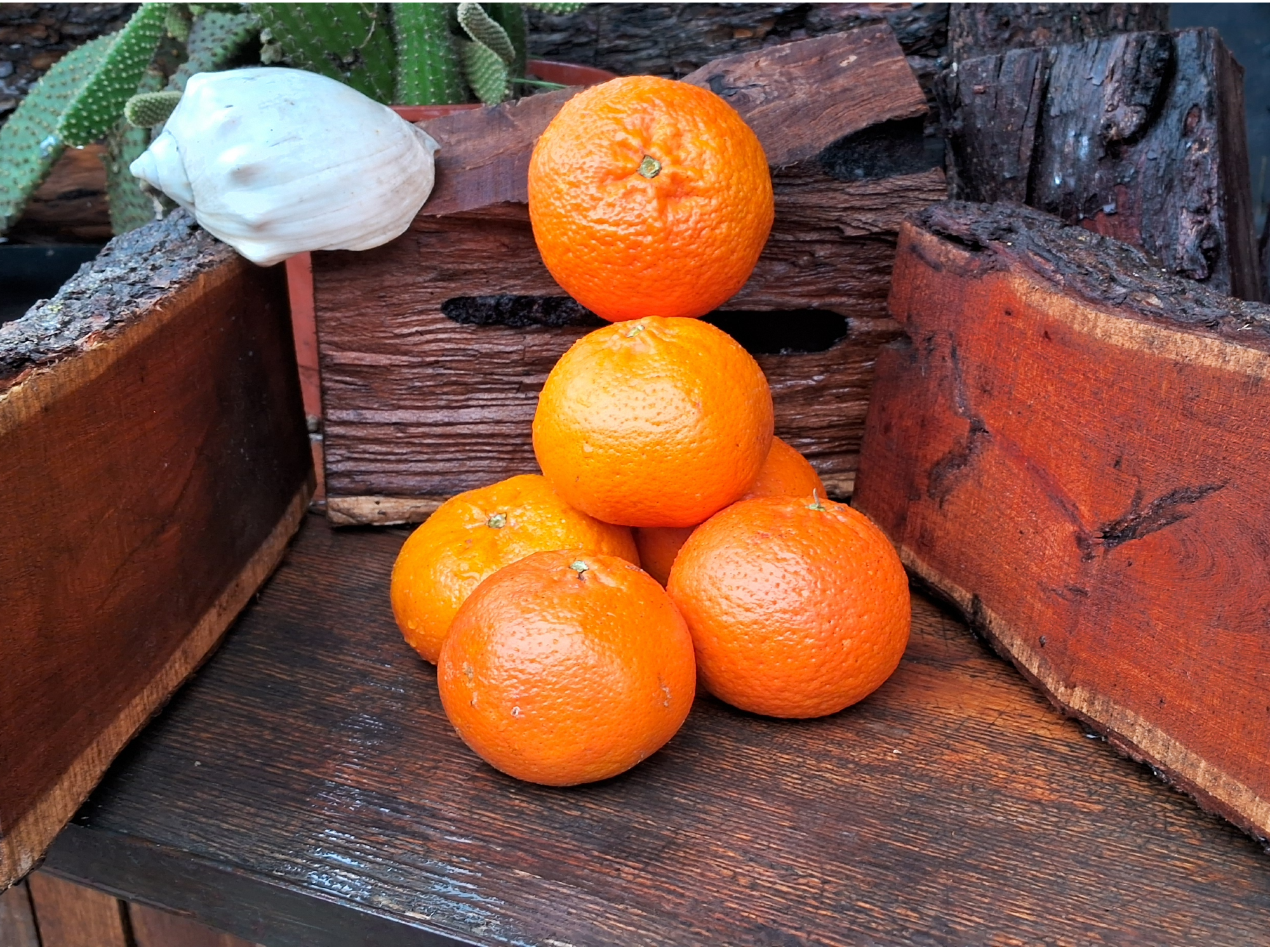 2KG Mandarina Ellendale