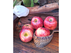 MANZANA ROJA MEDIANA