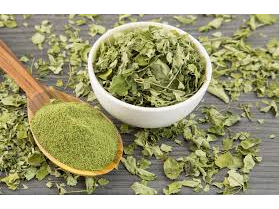 Moringa en hojas