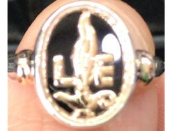 NURSE-Licenciada en Enfermeria. con Onix y logo en oro 9k