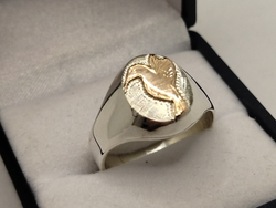 Anillo Educadora Social