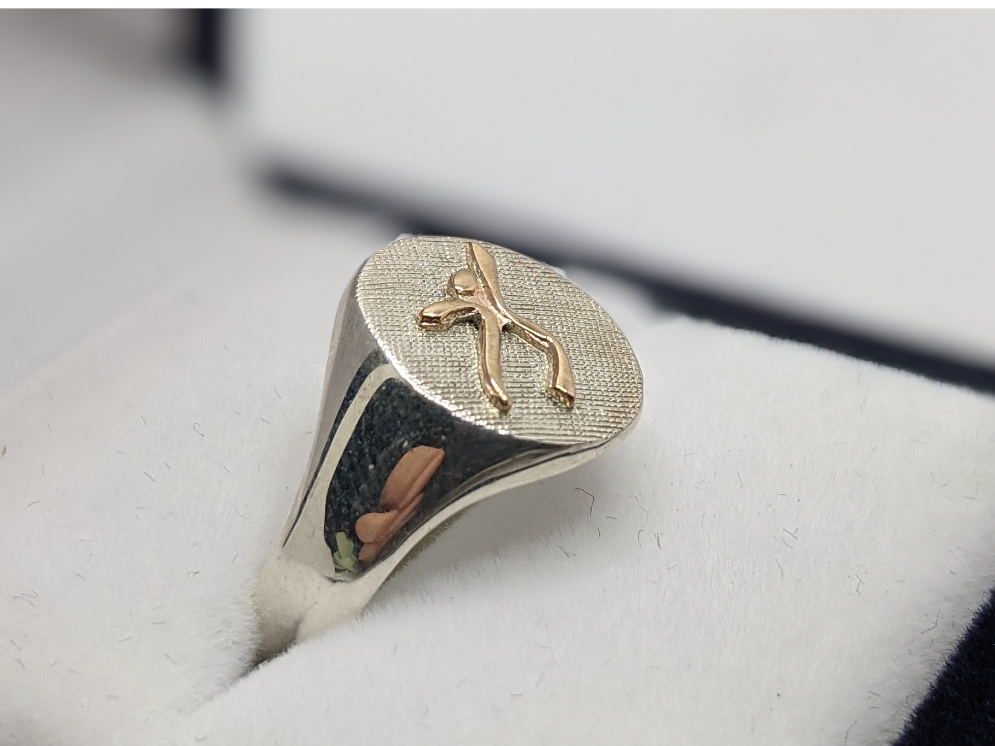 Profesor Educación Fisica