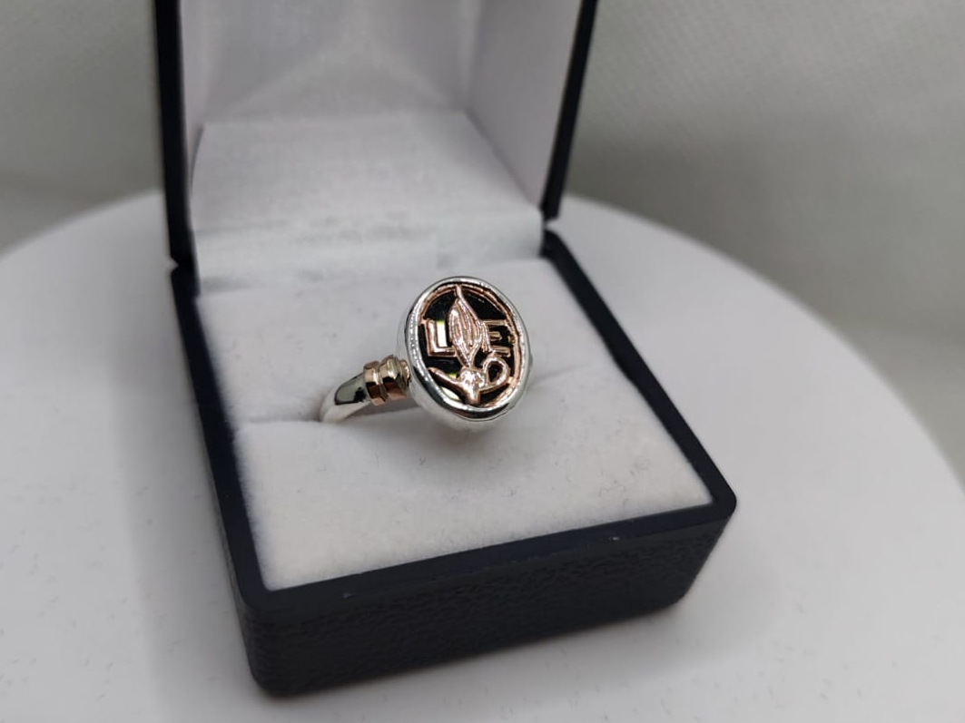 NURSE-Licenciada en Enfermeria. con Onix y logo en oro 9k