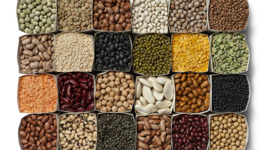 PRODUCTOS AGROECOLÓGICOS