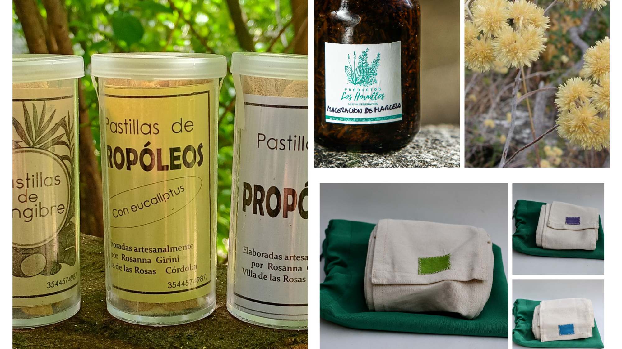 COMPLEMENTOS TERAPÉUTICOS