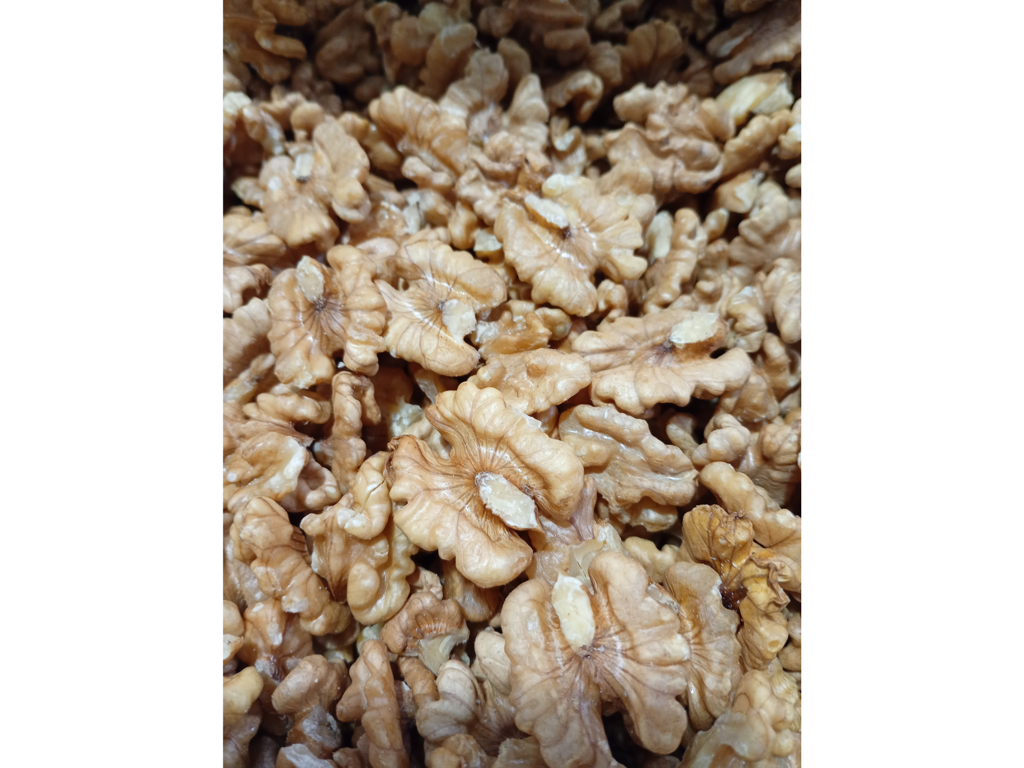Nueces Mariposa