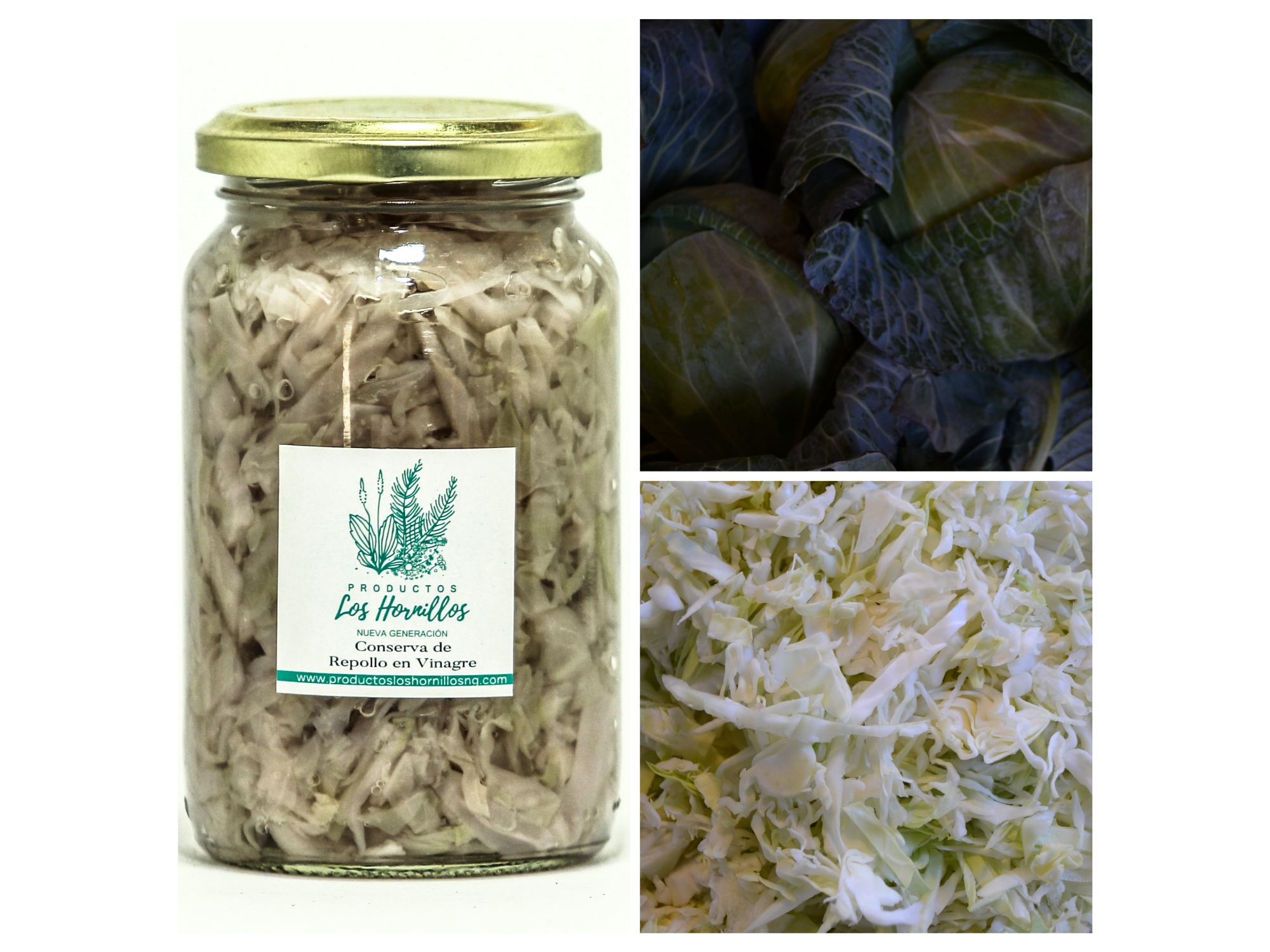 Conserva de Repollo en vinagre