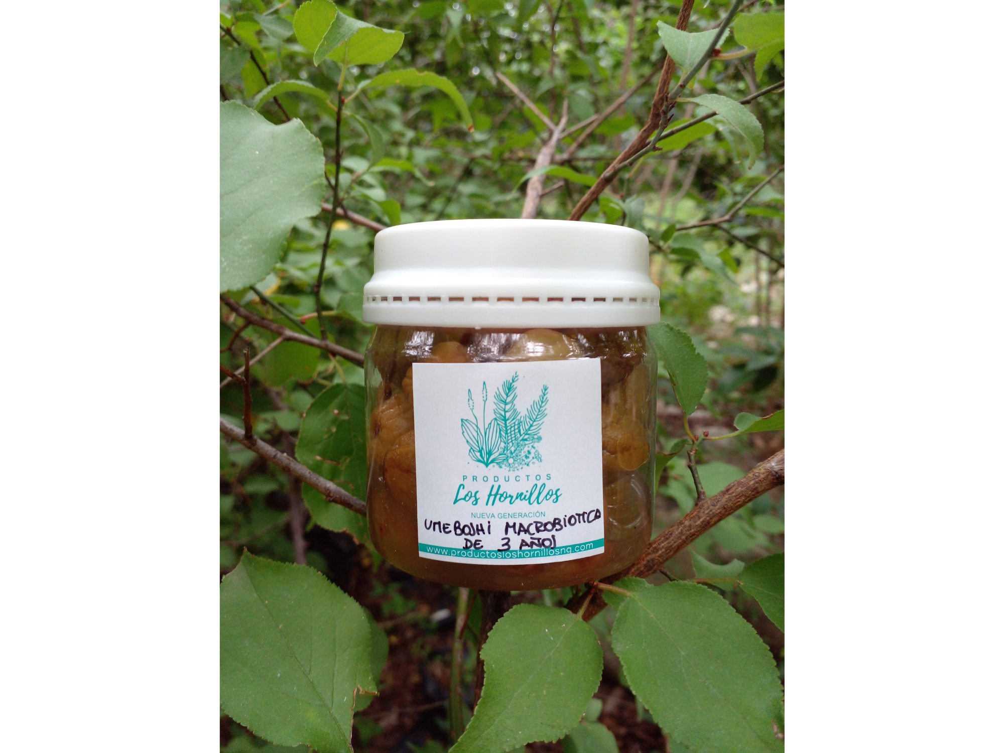 Umeboshi macrobiótica de 3 años