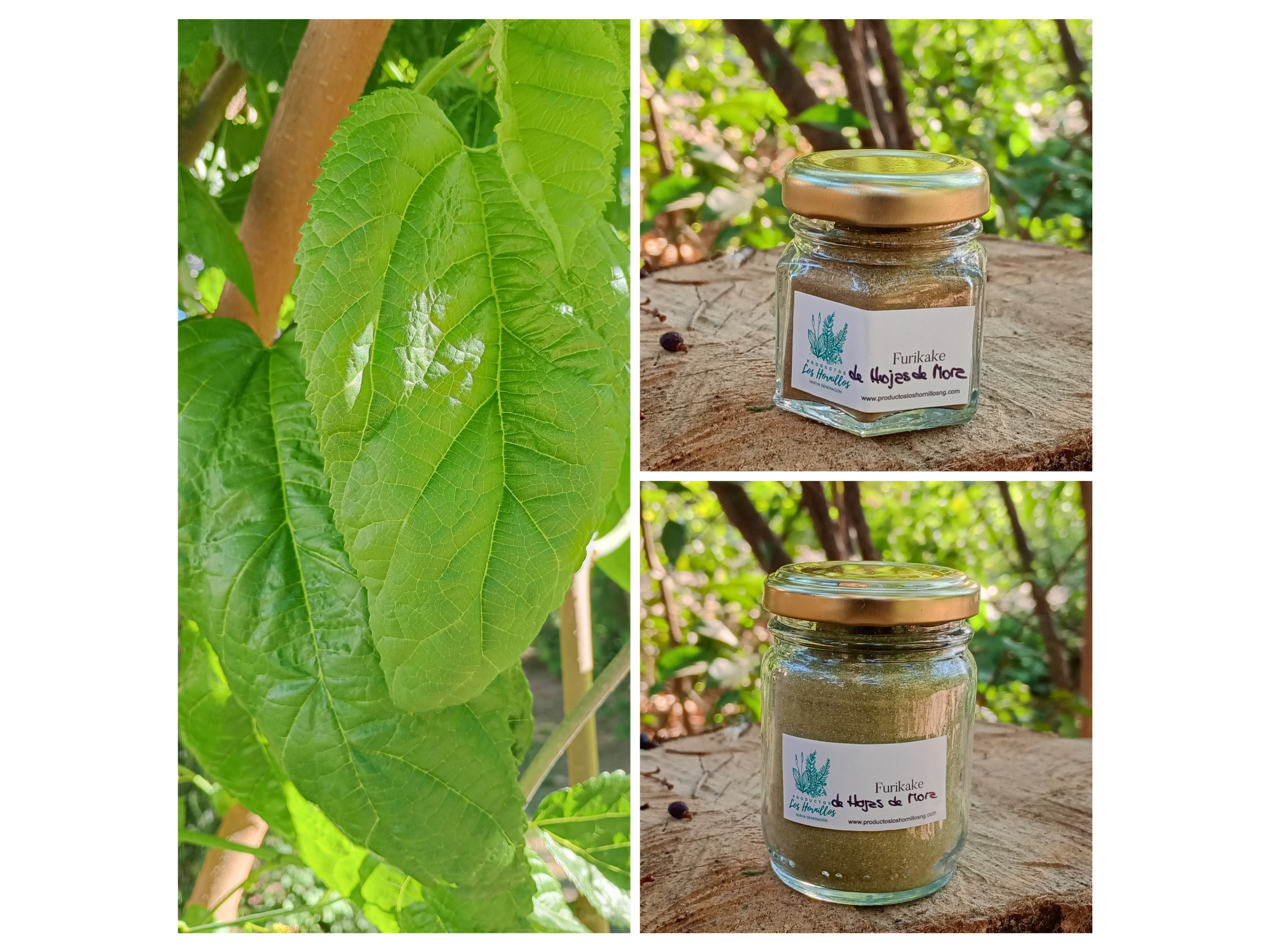 Furikake de hojas de Mora
