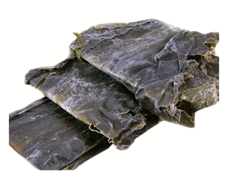 Alga Kombu