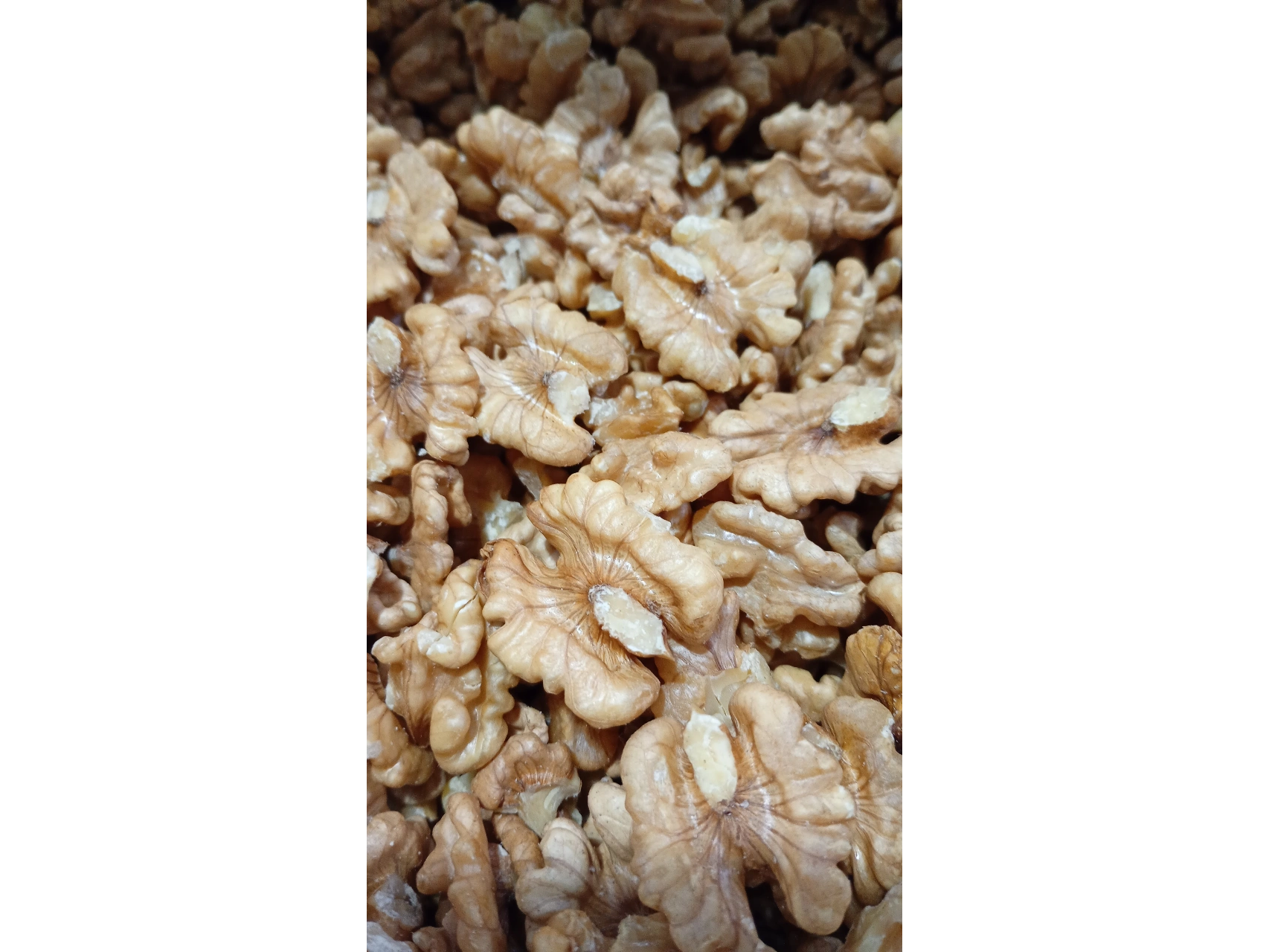 Nueces