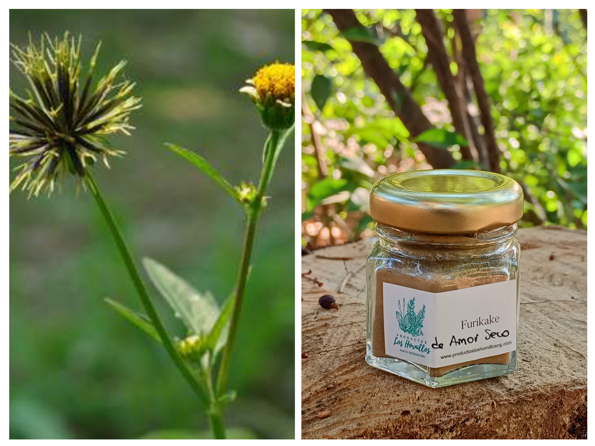 Furikake de Amor Seco