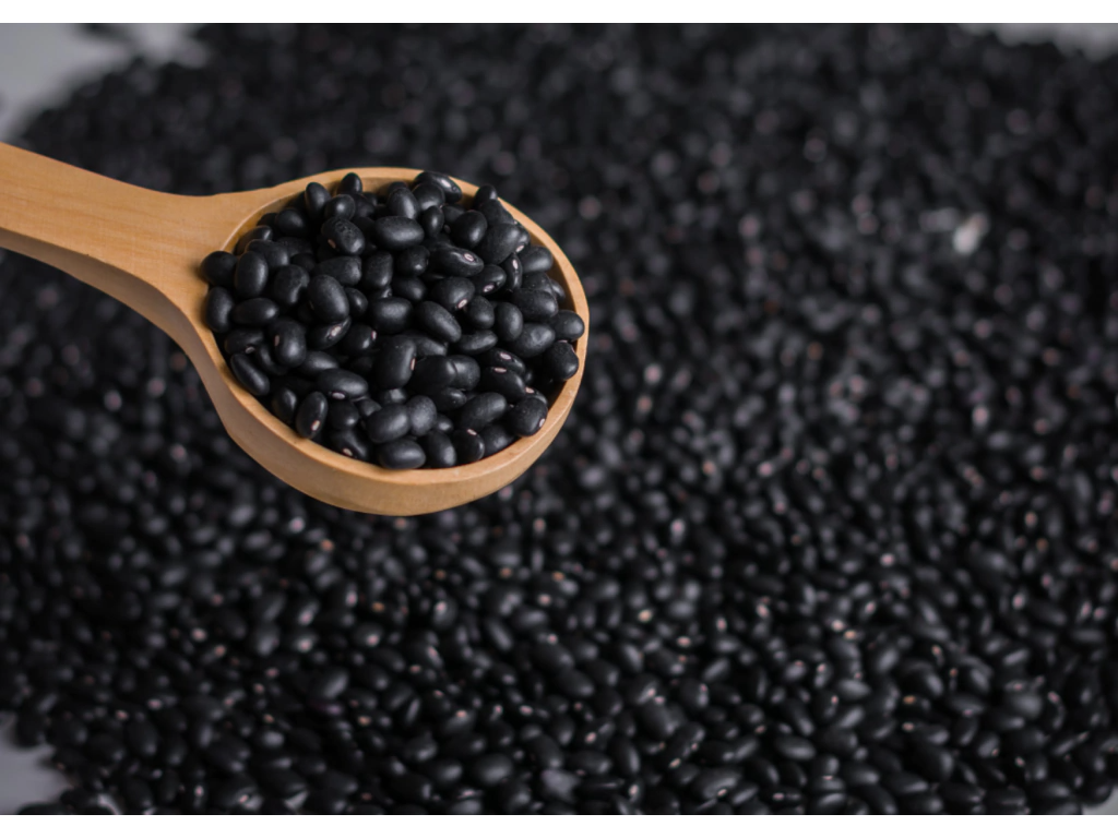 Porotos Negros orgánicos