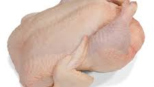 POLLO
